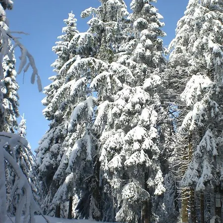 Gipfel Lounge 아파트 *