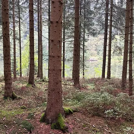 Gipfel Lounge 고슬라르